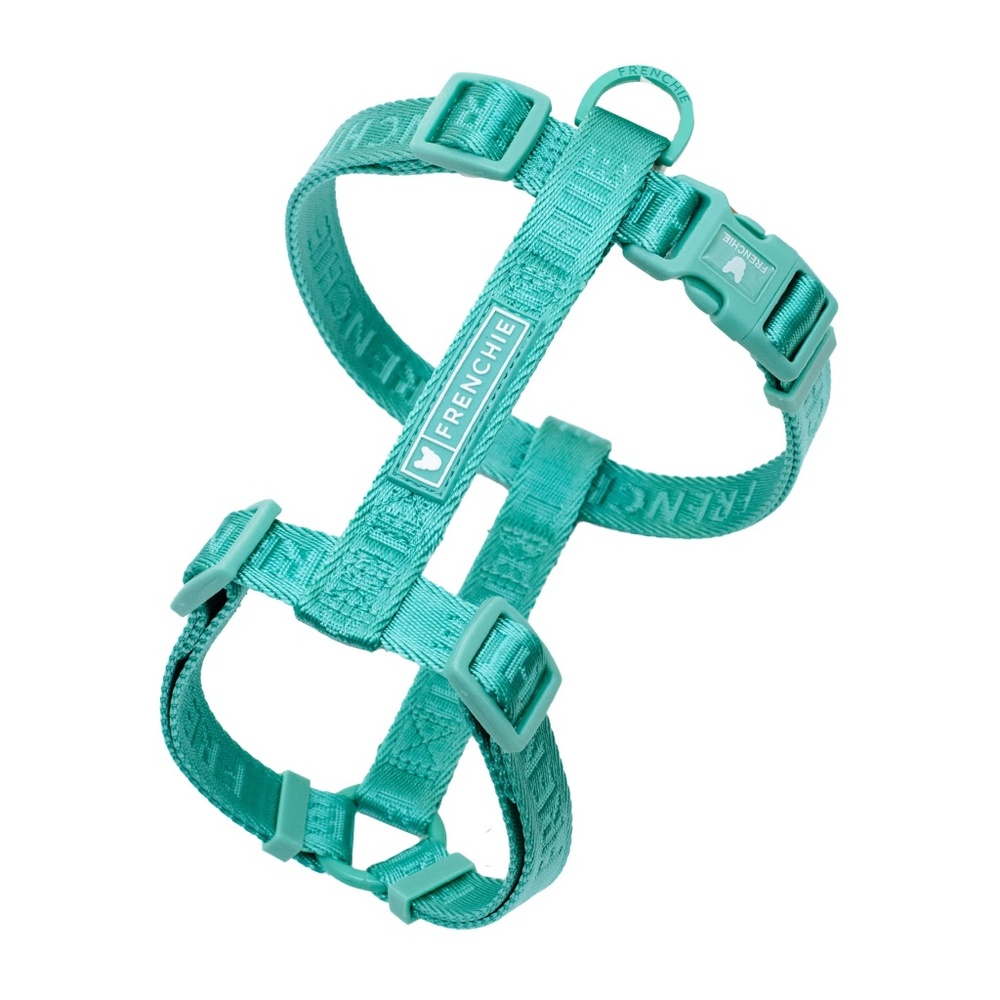 Frenchie Bulldog Strap Harness & Leash Set in Aqua (2 items)